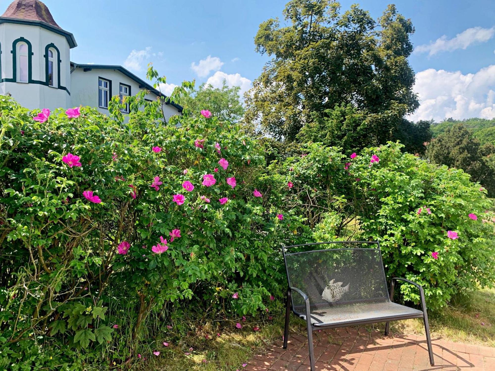 Ferienhaus Erika Heringsdorf  Buitenkant foto